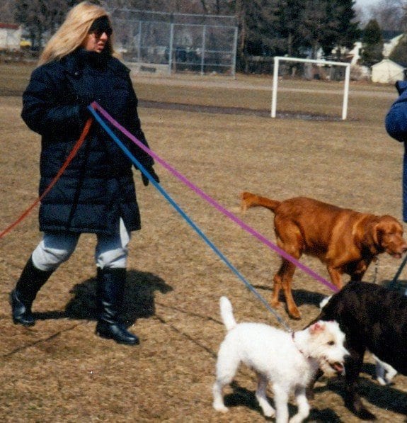 meanddogsmarchbreak