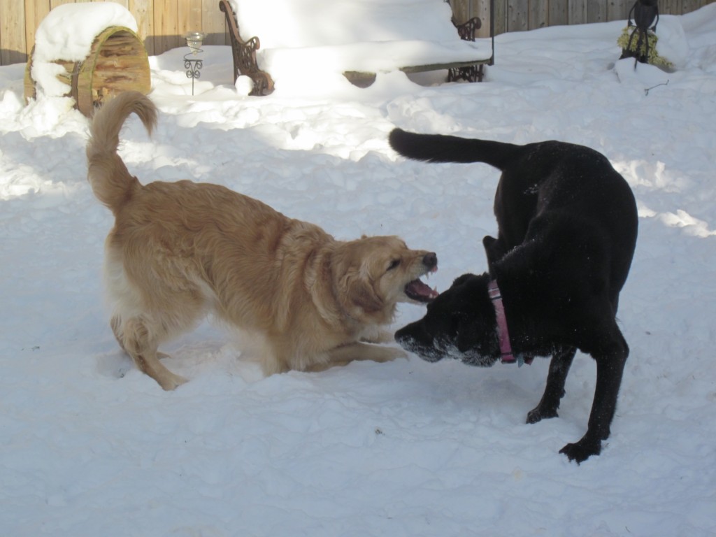 "Come on! I dare ya!" ☺