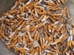 cigarette butts
