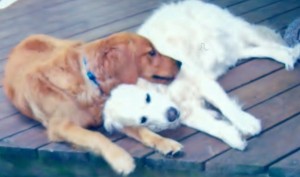 Candice (r) and her boyfriend Rudy ©