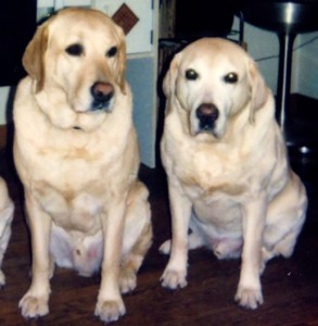 Max & Jake