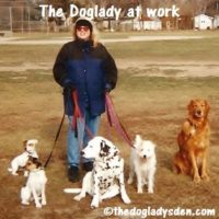 The Doglady at work