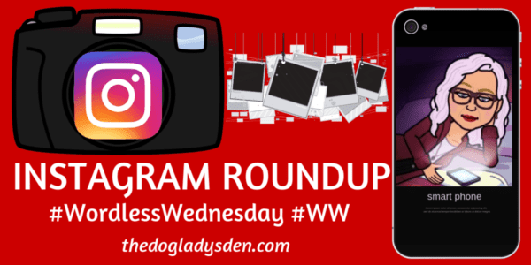 Instagram Roundup #WordlessWednesday #WW