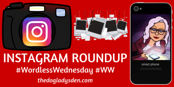 Instagram Roundup Wordless Wednesday #WW