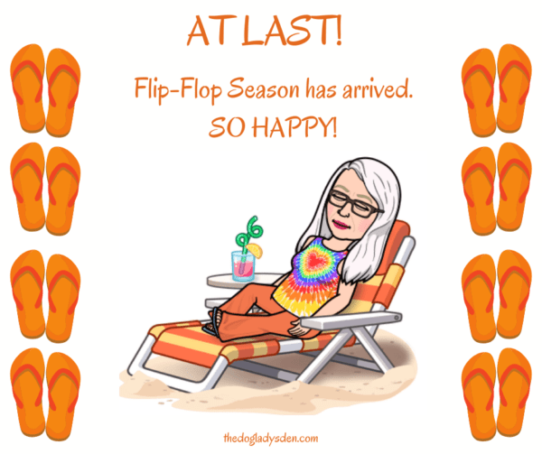 Flip Flop Season, Ode to Summer