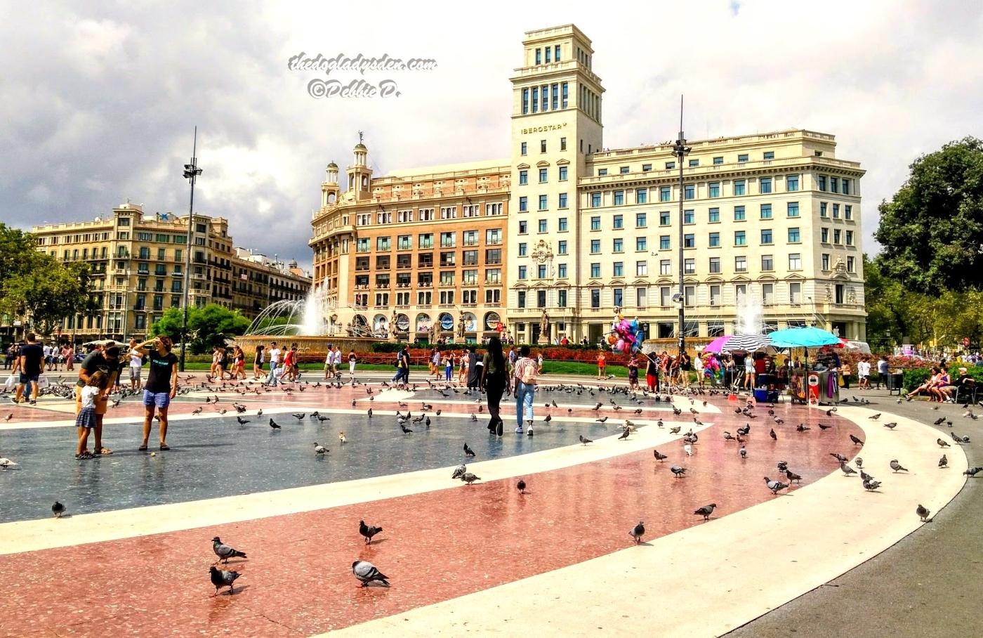 pigeons in barcelona