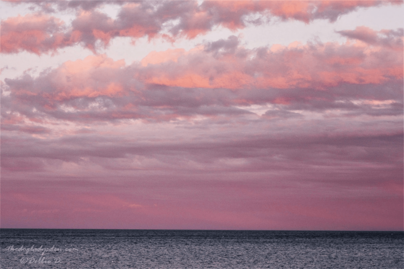 PINK SKY AT SUNSET