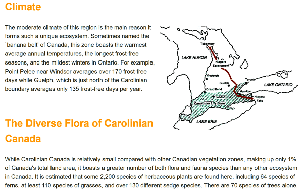 Carolinian Canada info