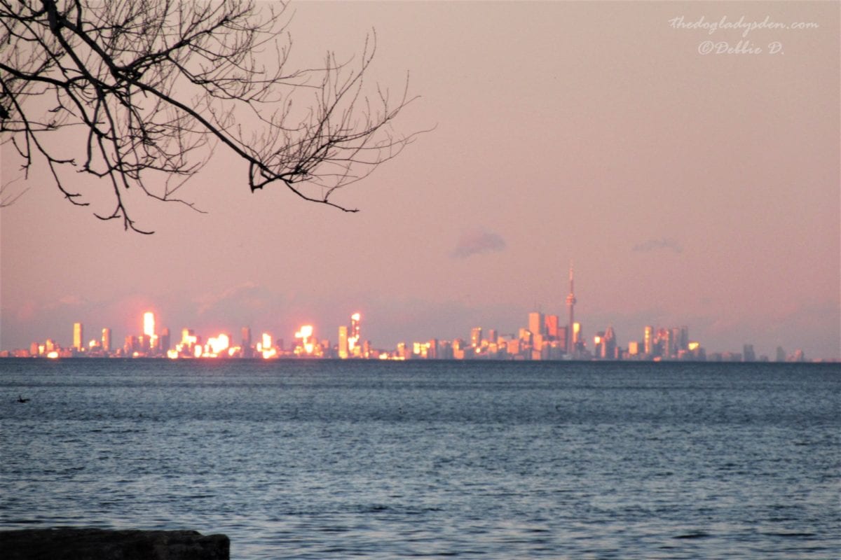 Toronto skyline zoom lens capture