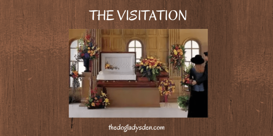 The Visitation, The SHE Chronicles