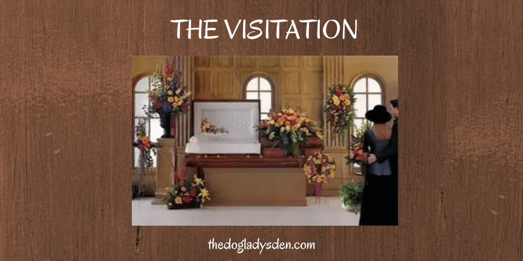 THE VISITATION