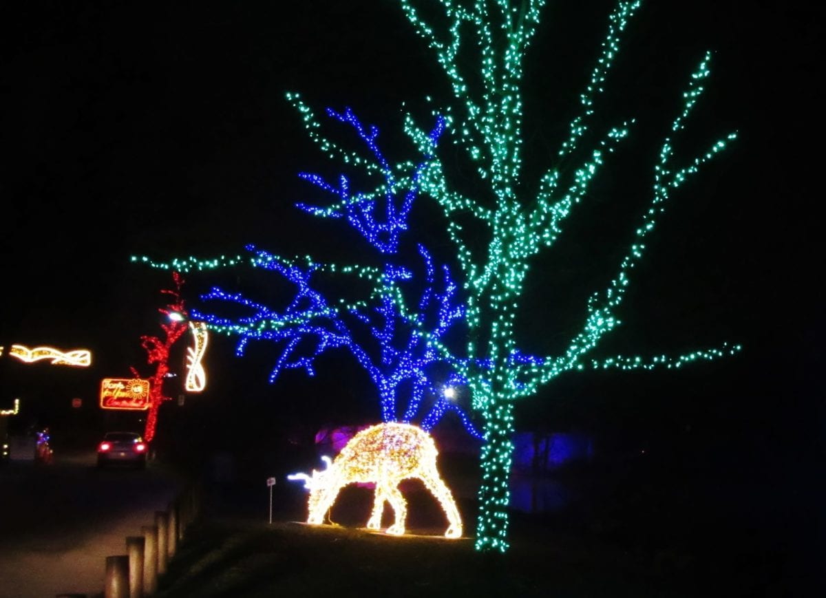 Leaving Dufferin islands light display