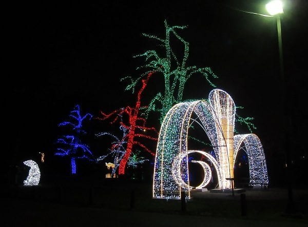 Light Sculptures among the trees