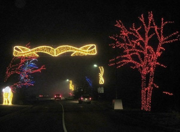 Wildlife Display Entrance