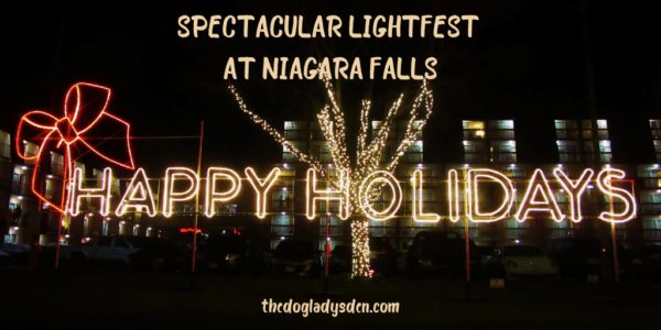 Niagara Falls Lightfest