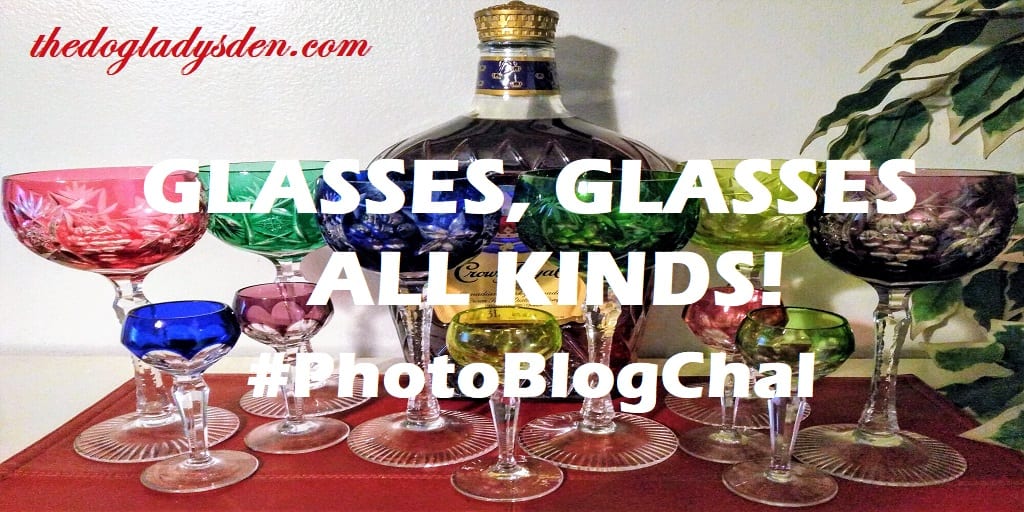 GLASSES, GLASSES, ALL KINDS! #PhotoBlogChal