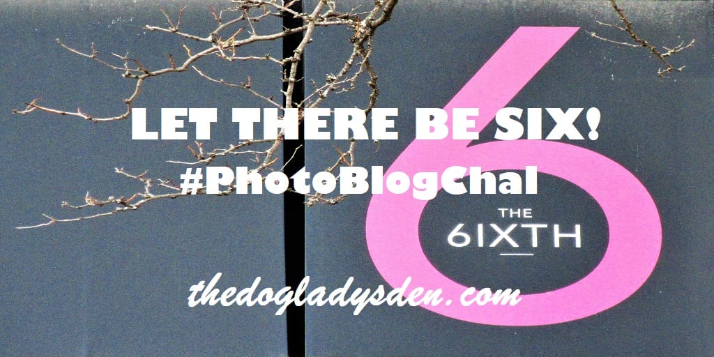 LET THERE BE SIX! #PhotoBlogChal