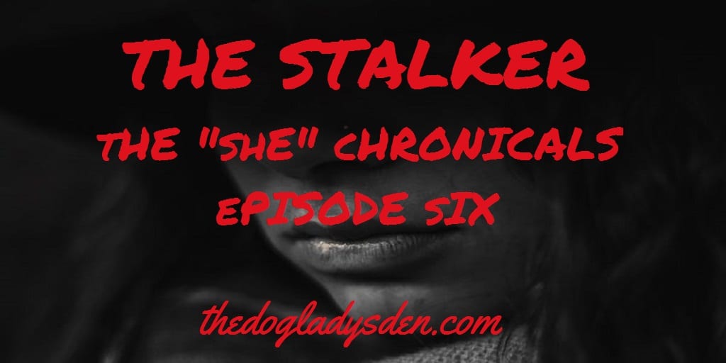 THE STALKER