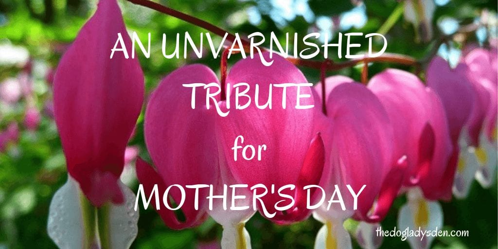 AN UNVARNISHED TRIBUTE FOR MOTHER'S DAY