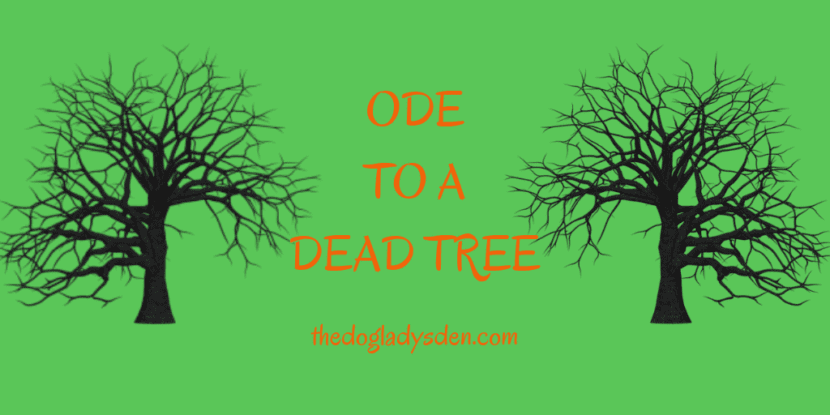 ode to a dead tree