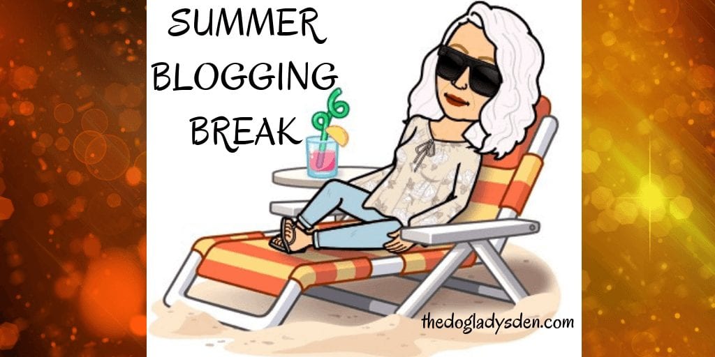 SUMMER BLOGGING BREAK