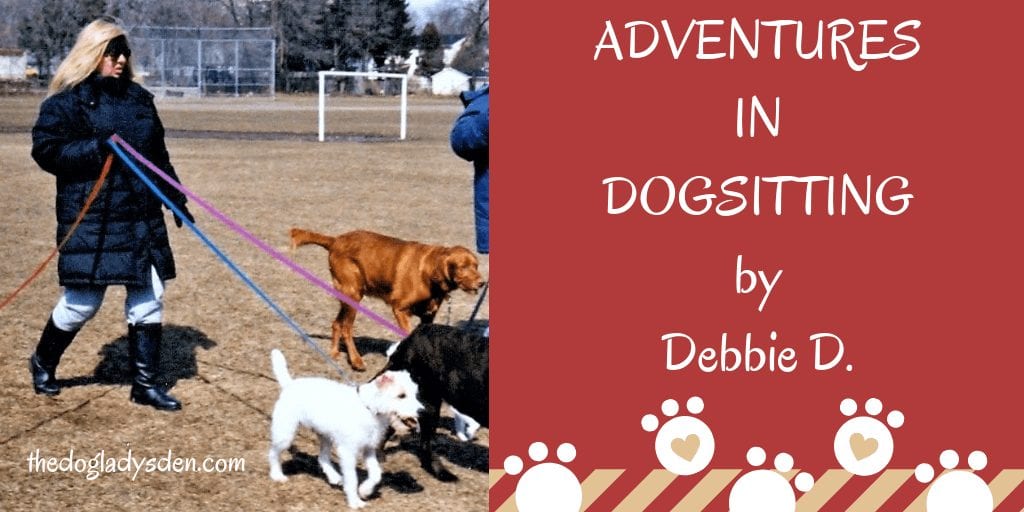 ADVENTURES IN DOGSITTING by Debbie D.