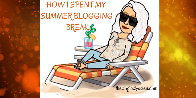 SUMMER BLOGGING BREAK