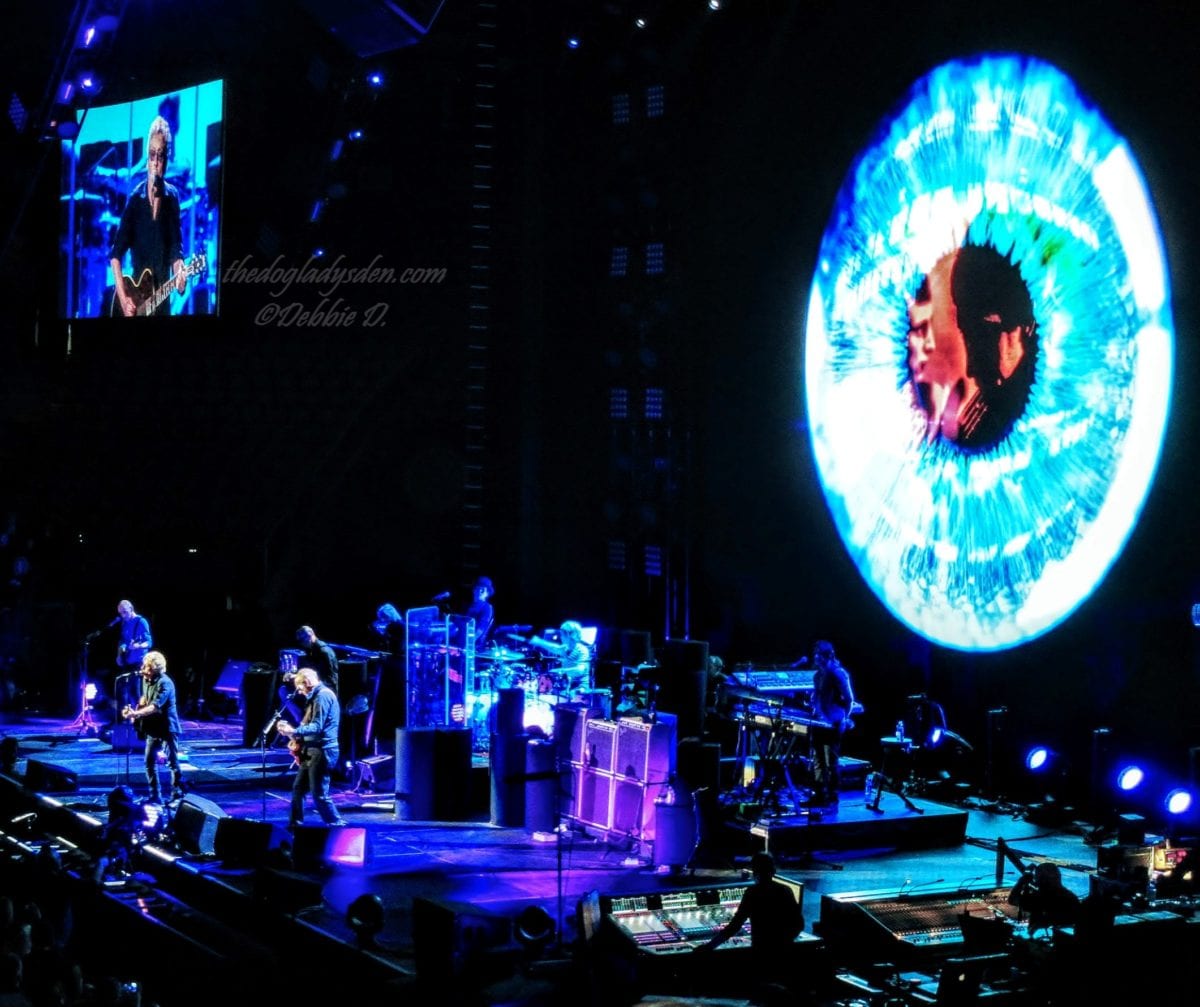 the who 2016