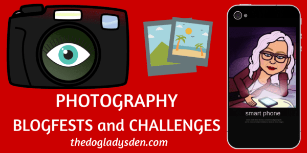 photography blogfests and challenges