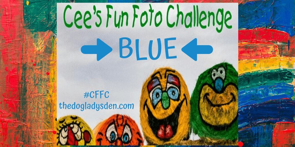 BLUE | CEE’S FUN FOTO CHALLENGE #CFFC #WW