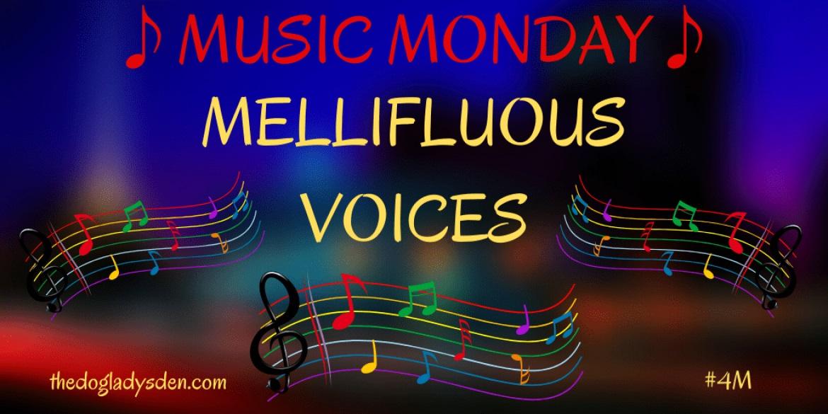 MELLIFLUOUS VOICES | #MusicMonday #4m