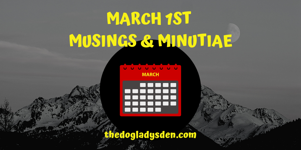 MARCH 1ST MUSINGS AND MINUTIAE