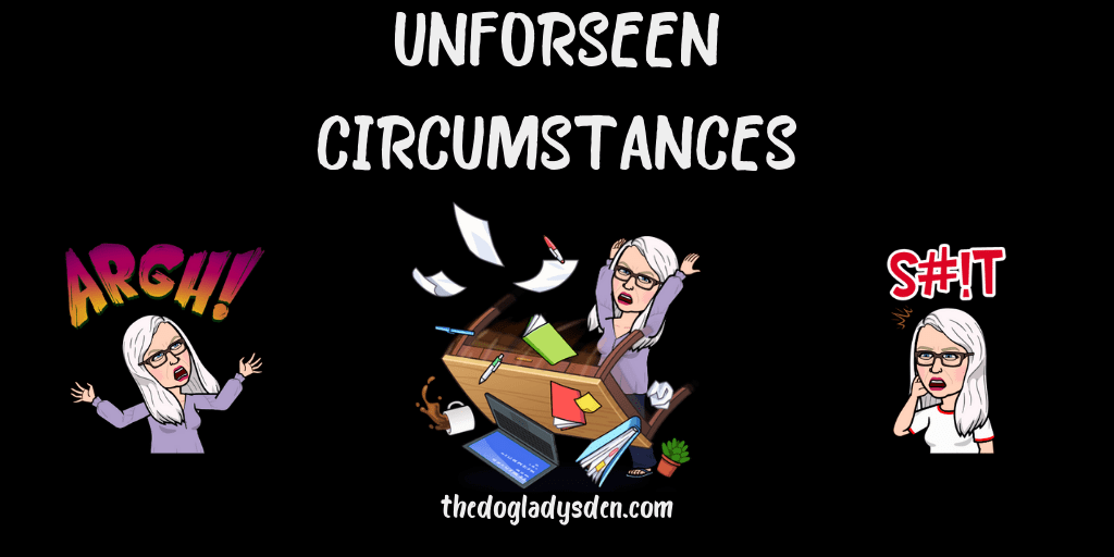 UNFORESEEN CIRCUMSTANCES