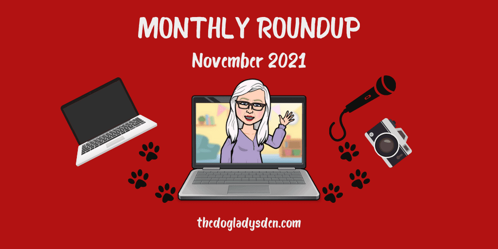 MONTHLY ROUNDUP – NOV. 2021