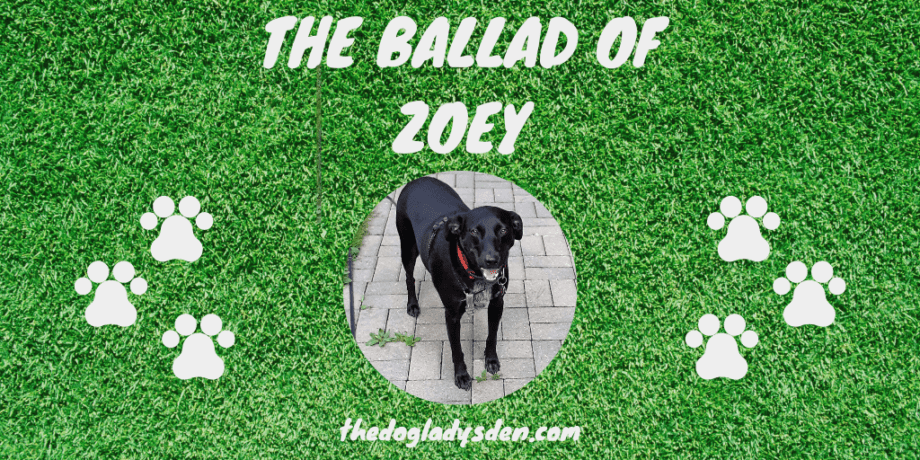 THE BALLAD OF ZOEY