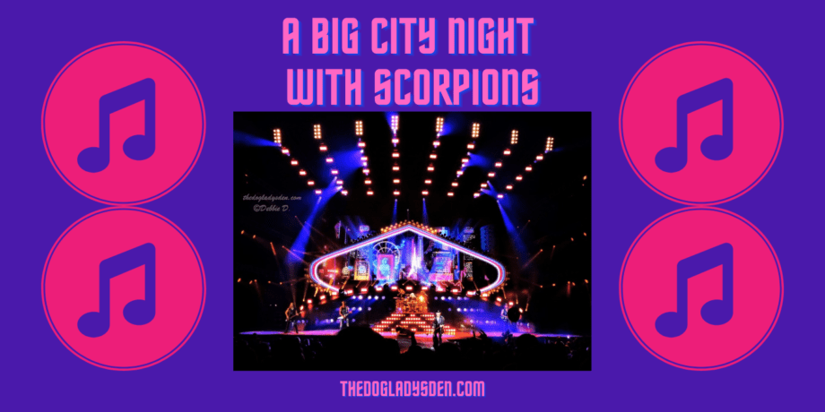 A big city night with Scorpions