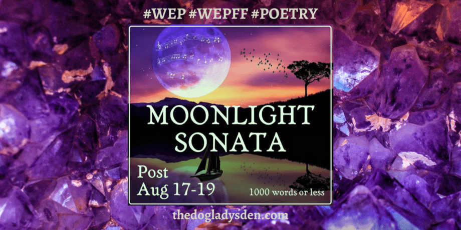 Moonlight Sonata WEP Dogladysden featured image