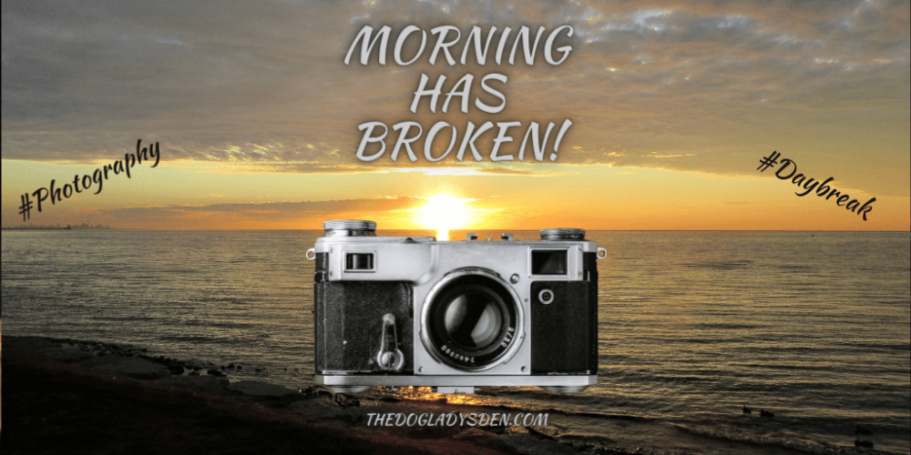 Morning Has Broken photo essay featured image