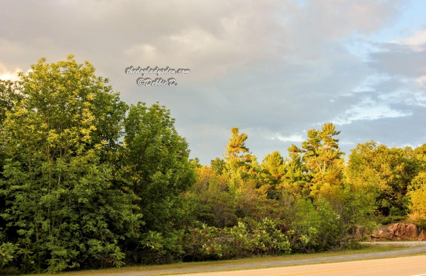 1000 islands parkway fall colours