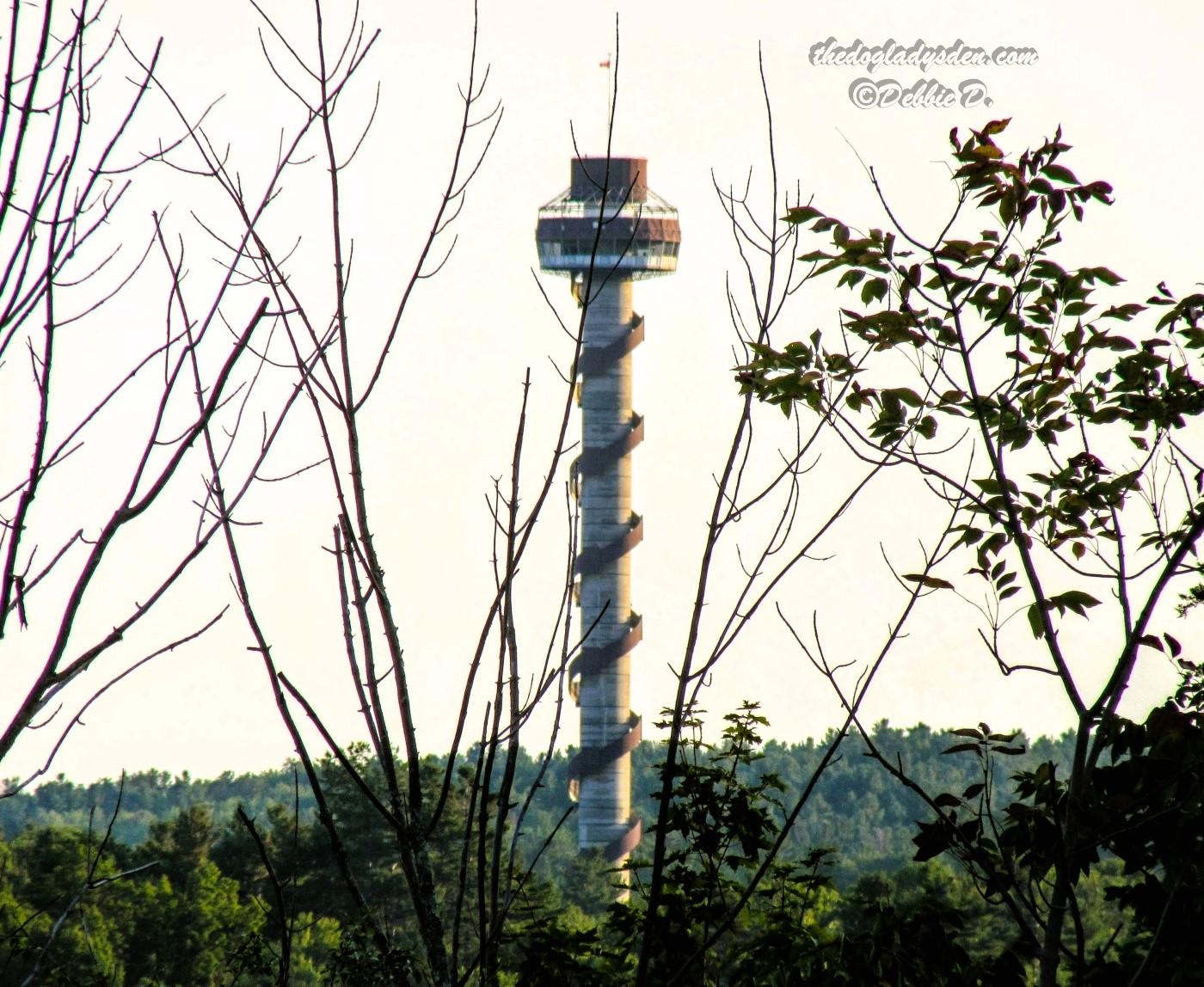 1000 islands parkway skydeck view