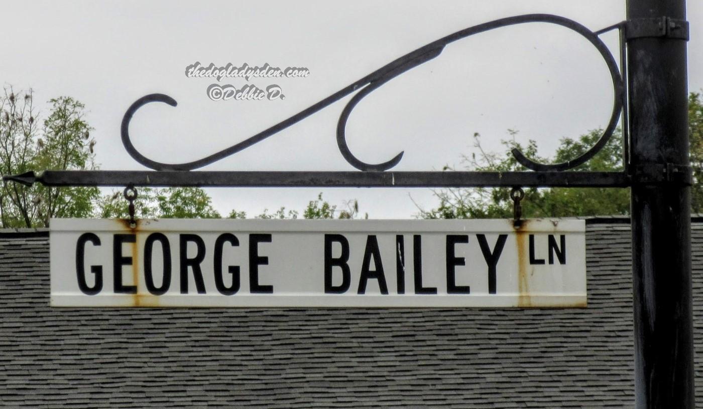 seneca falls george bailey lane sign