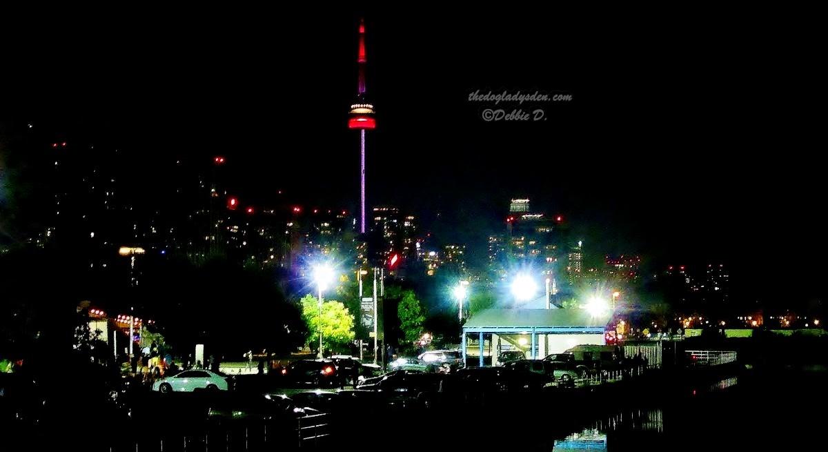 toronto skyline from the waterfront