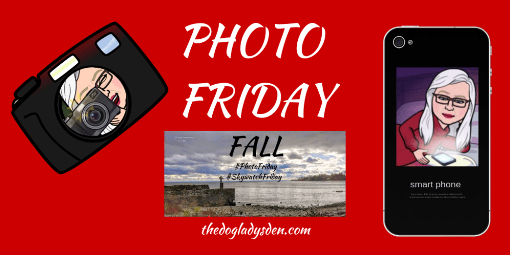 photo friday fall