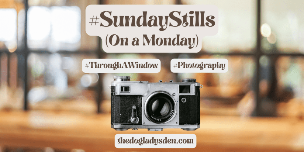 through a window sunday stills featured image