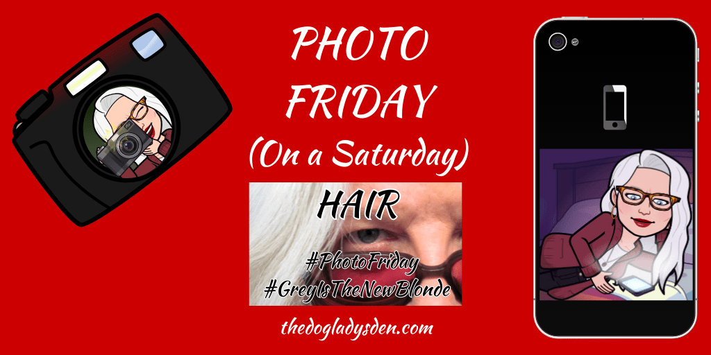 IT’S ALL ABOUT THE HAIR!🪮#PhotoFriday📷#GreyIsTheNewBlonde👱‍♀️