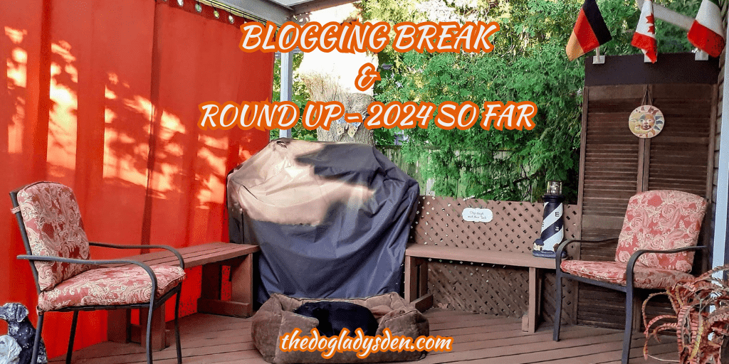 BLOGGING BREAK ☀️ AND ROUNDUP – 📅 2024 SO FAR 📅