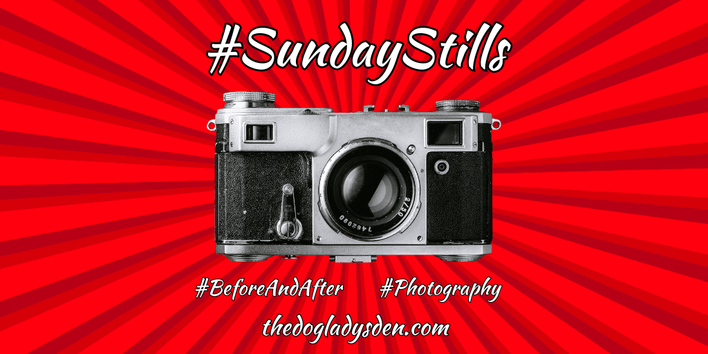 ⏳⌛BEFORE AND AFTER⌛⏳ #SundayStills #Photography #WW 📷