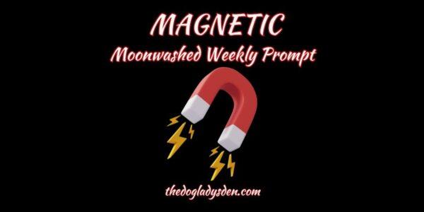 ⚡🧲⚡MAGNETIC ⚡🧲⚡ | MOONWASHED WEEKLY PROMPT ✍️ #Poetry