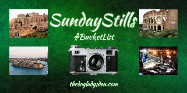 BUCKET LIST ITEMS 🪣🌍🎸#SundayStills #Photography 📷📱