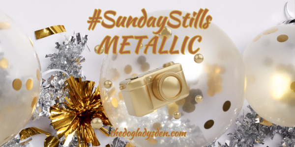 METALLIC 💛🩶🧡🤎| #SundayStills #Photography📷📱#HappyHolidays✨🎄